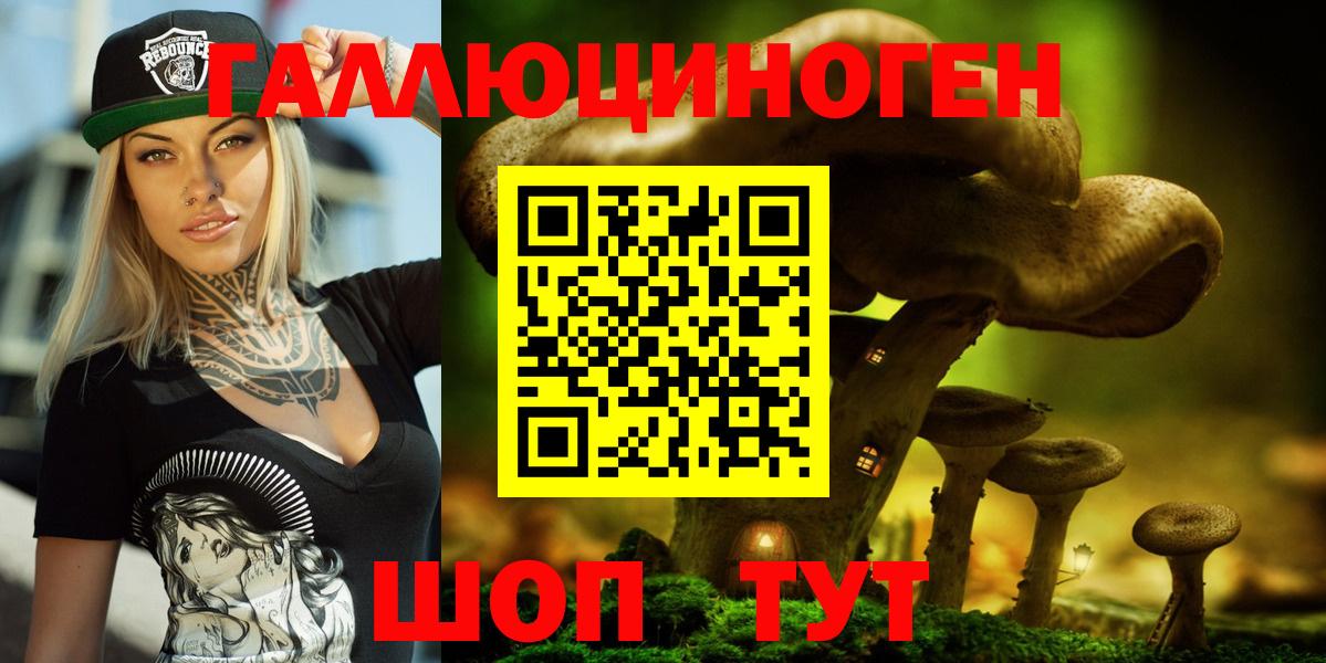 где купить наркоту  Галлюциногенные грибы Psilocybe  Вход с VPN  Мелеуз 