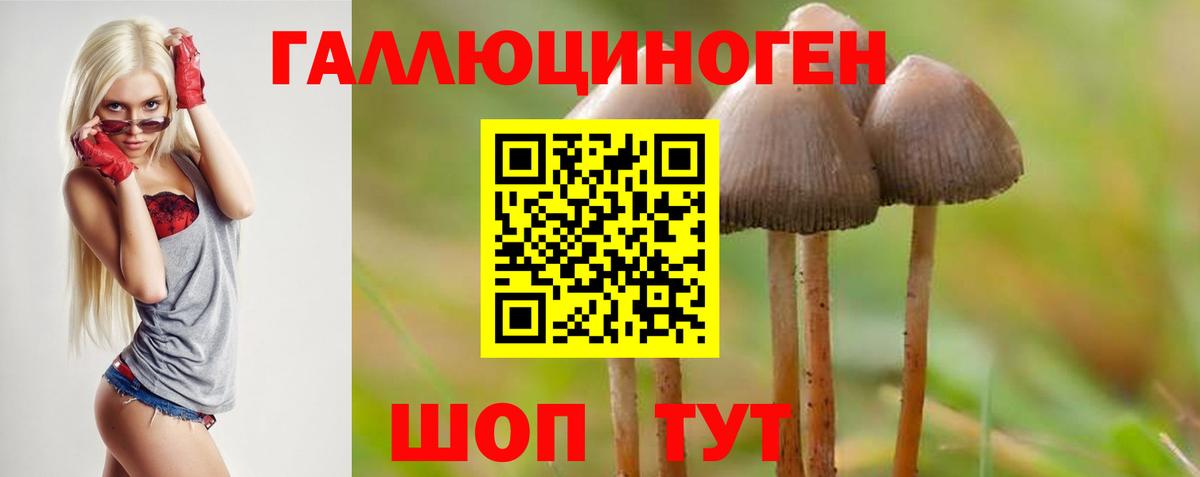 Псилоцибиновые грибы Cubensis Мелеуз